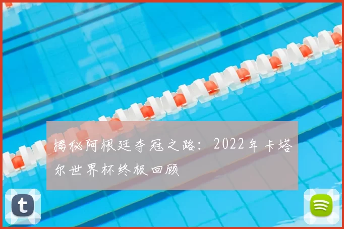 揭秘阿根廷夺冠之路:2022年卡塔尔世界杯终极回顾