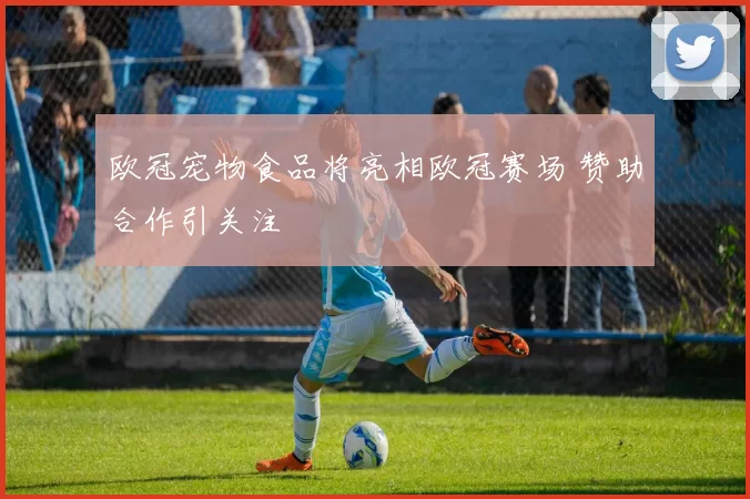 欧冠宠物食品将亮相欧冠赛场 赞助合作引关注