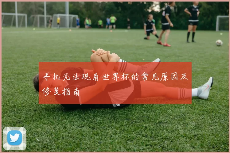 手机无法观看世界杯的常见原因及修复指南
