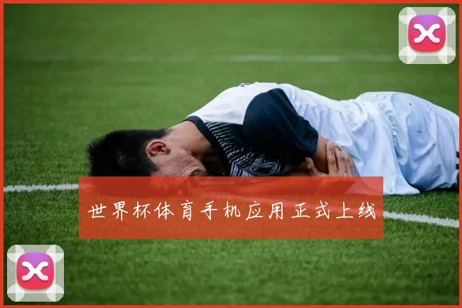 世界杯体育手机应用正式上线
