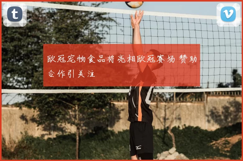 欧冠宠物食品将亮相欧冠赛场 赞助合作引关注