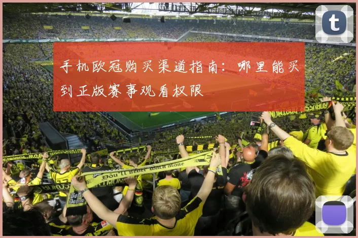 手机欧冠购买渠道指南：哪里能买到正版赛事观看权限