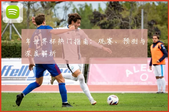 年世界杯热门指南:观赛、预测与深度解析