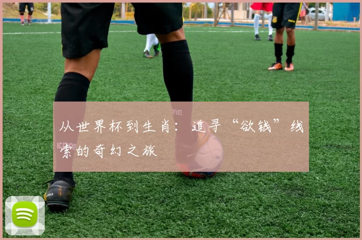 从世界杯到生肖：追寻“欲钱”线索的奇幻之旅