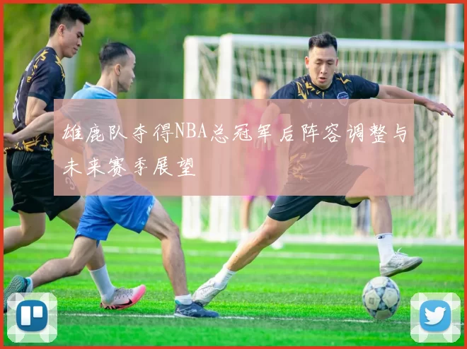 雄鹿队夺得NBA总冠军后阵容调整与未来赛季展望