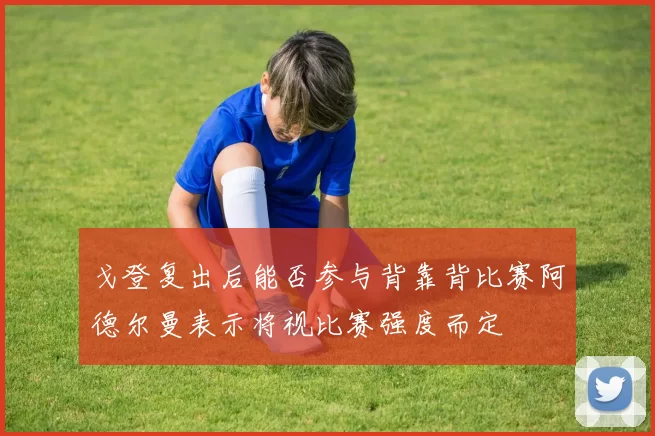 戈登复出后能否参与背靠背比赛阿德尔曼表示将视比赛强度而定