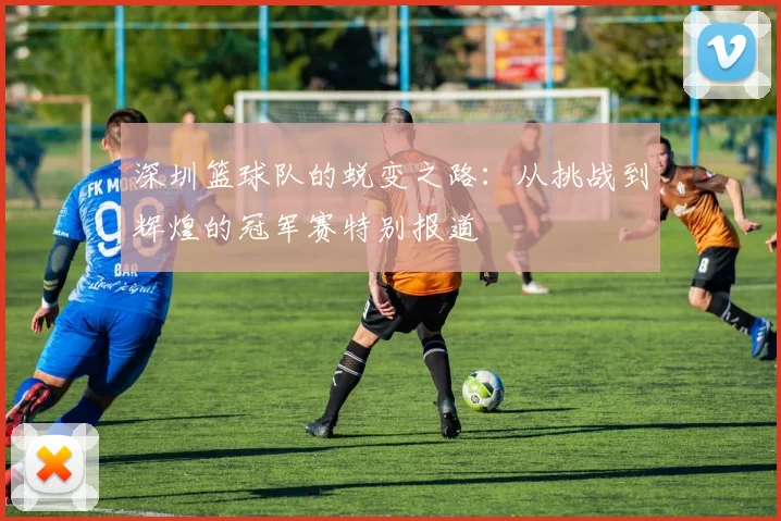 深圳篮球队的蜕变之路：从挑战到辉煌的冠军赛特别报道